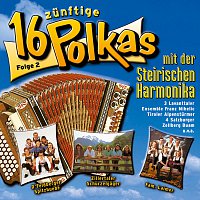 16 zunftige Polkas mit der steirischen Harmonika - Folge 2