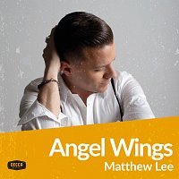 Matthew Lee – Angel Wings