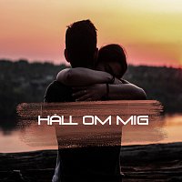 Přední strana obalu CD HALL OM MIG