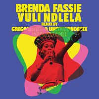 Brenda Fassie, Gregor Salto, Unruly Phoenix, TAU (BW) – Vuli Ndlela [Gregor Salto, Unruly Phonix & TAU (BW) Remixes]