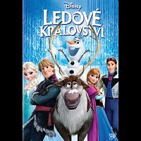 Různí interpreti – Ledové království DVD