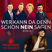 Feuerherz, DJ Herzbeat – Wer kann da denn schon nein sagen? [Remix]