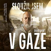 David Shorf – Sloužil jsem v Gaze 