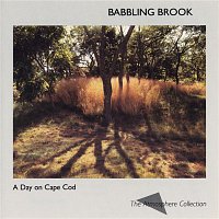 Atmosphere Collection – A Day On Cape Cod: Babbling Brook