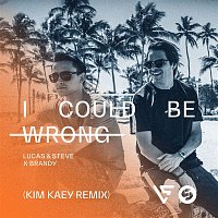 Lucas & Steve x Brandy – I Could Be Wrong (Kim Kaey Remix)
