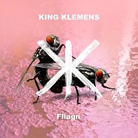 Přední strana obalu CD Fliagn