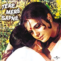 Různí interpreti – Tere Mere Sapne [Original Motion Picture Soundtrack]
