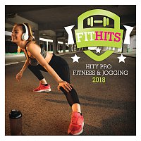 Fit Hits 2018