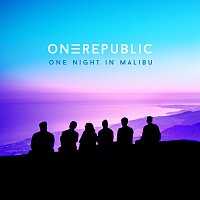 Přední strana obalu CD One Night In Malibu