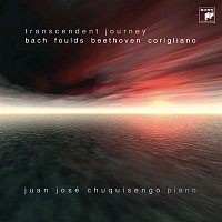Juan José Chuquisengo – Transcendant Journey