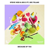 Steve Void & Big-Z – Because Of You