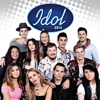 Různí interpreti – Idol 2014