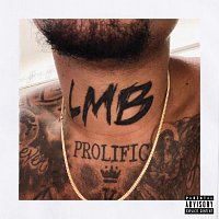 LMB DG – Pull Up