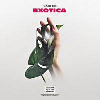 Naicok – Exotica