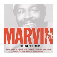 Marvin Gaye – Love Songs