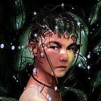 Björk – Bachelorette