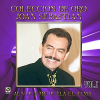 Joan Sebastian – Colección De Oro: Ranchero De Corazón, Vol. 2 – Aunque Me Duela El Alma