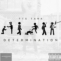 TTS TANA – Determination