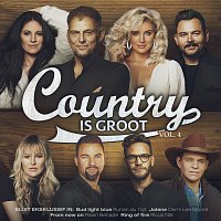 Přední strana obalu CD Country Is Groot Vol. 4