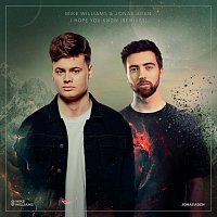 Mike Williams, Jonas Aden – I Hope You Know [Remixes]