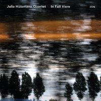 Julia Hulsmann Quartet – In Full View