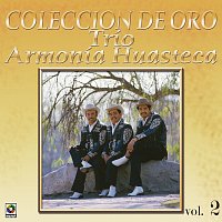 Přední strana obalu CD Colección De Oro: La Huasteca Canta, Vol. 2