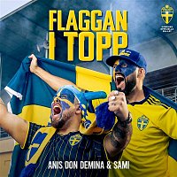 Anis Don Demina, SAMI – Flaggan i topp