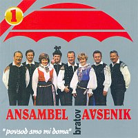Ansambel bratov Avsenik – Povsod smo mi doma 1
