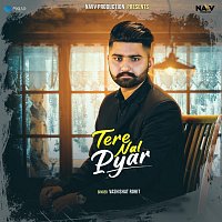 Přední strana obalu CD Tere Nal Pyar