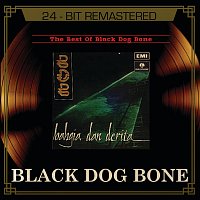 The Best Of Black Dog Bone