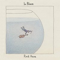 Redi Hasa – In Bloom