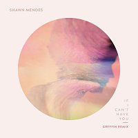Shawn Mendes, Gryffin – If I Can't Have You [Gryffin Remix]