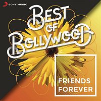 Various  Artists – Best of Bollywood: Friends Forever