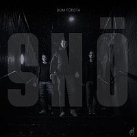 Dom Forsta – Sno