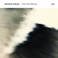 Avishai Cohen – Into The Silence