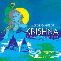 Různí interpreti – Musical Chants Of Krishna
