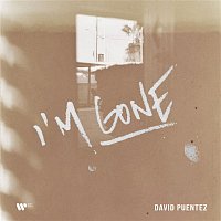 David Puentez – I'm Gone