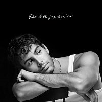 Darin – Det sista jag behover