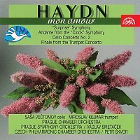 Mon Amour / Haydn: Symfonie č. 94 G dur, Violoncellový koncert č. 2