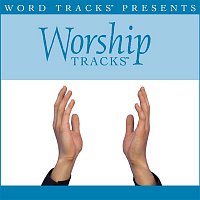 Worship Tracks – Worship Tracks - At The Cross - as made popular by Hillsong [Performance Track]