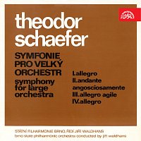 Schaefer: Symfonie pro velký orchestr