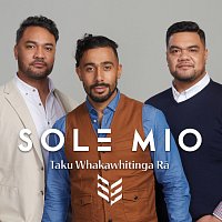 Taku Whakawhitinga R?