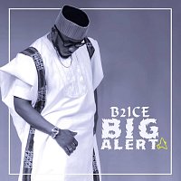 B2ice – Big Alert