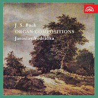 Přední strana obalu CD Bach: Varhanní skladby