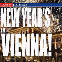 Různí interpreti – New Year's in Vienna