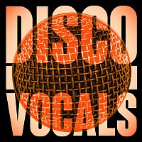 Various  Artists – Disco Vocals: Soulful Dancefloor Cuts Featuring 23 Of The Best Grooves