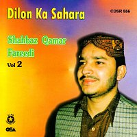 Shahbaz Qamar Fareedi – Dilon Ka Sahara