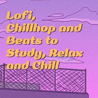 Různí interpreti – Lofi, Chillhop and Beats to Study, Relax and Chill