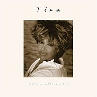 Tina Turner – Legs (Live from the Blockbuster Pavilion San Bernardino, California on September 15, 1993) [2023 Remaster]