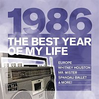 Various  Artists – The Best Year Of My Life: 1986